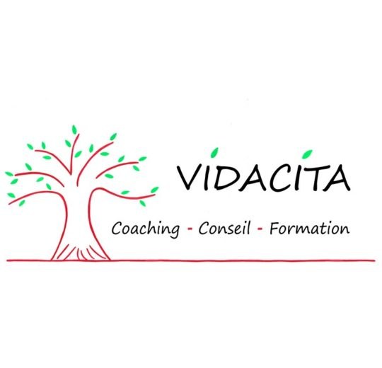 Vidacita